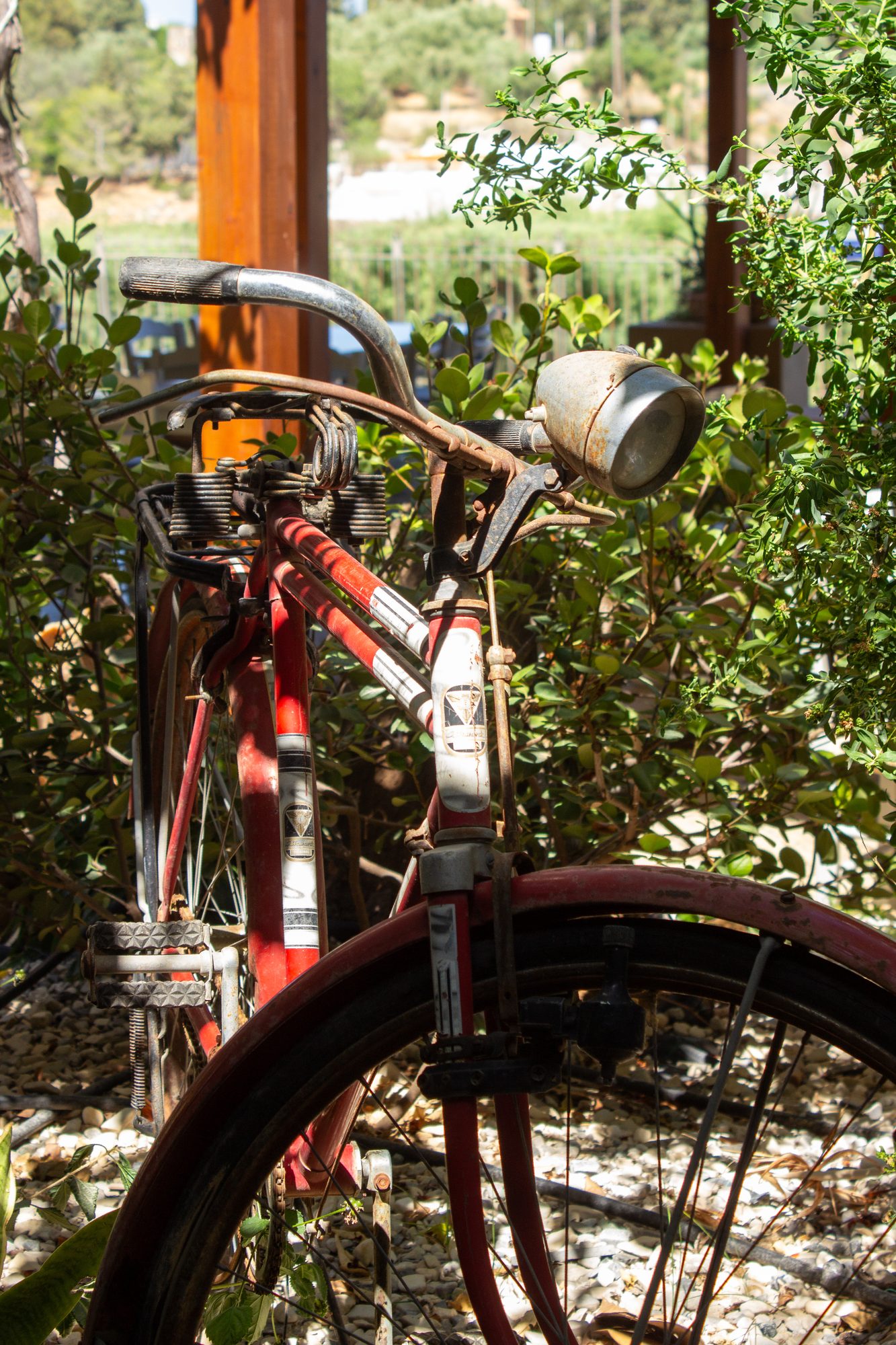 A vintage red bicycle in the garden greenery