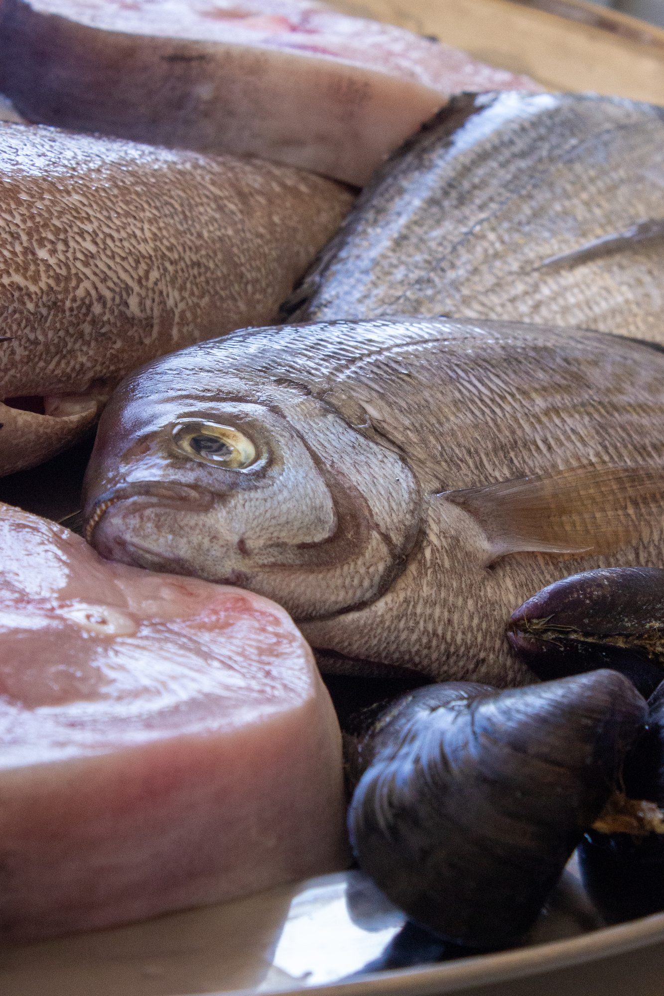 A tray of fresh whole sea bream, just in from the boats