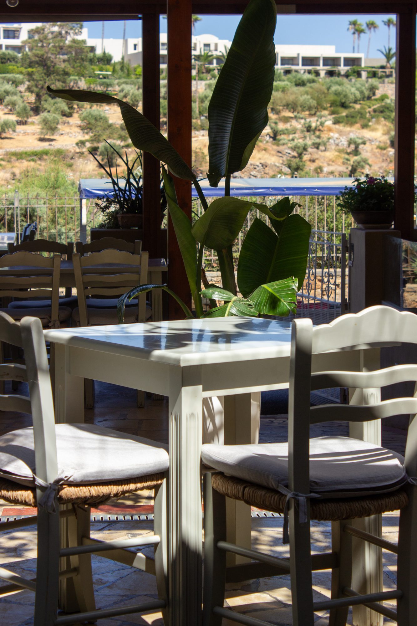 A table with a view of the sea through the greenery